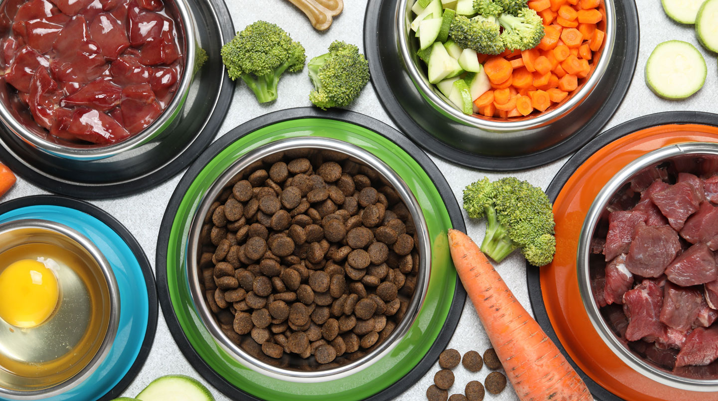 Vue de dessus d'un comptoir de cuisine avec ingrédients frais disposés pour préparer une ration ménagère pour chien : viande crue, légumes, riz et balance de cuisine